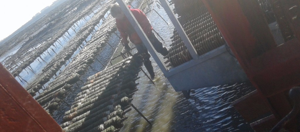 parc collecteur - captage